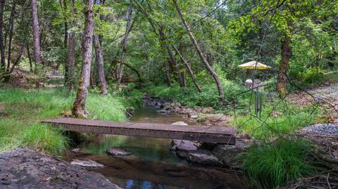 5000 Victory Mine Rd, Placerville, CA 95667 photo 41