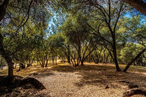 5438 Comstock Rd, Placerville, CA 95667 photo 88