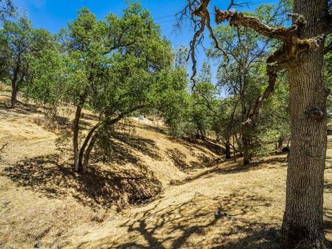 4631 Stoney Ridge Rd, Placerville, CA 95667 photo 8