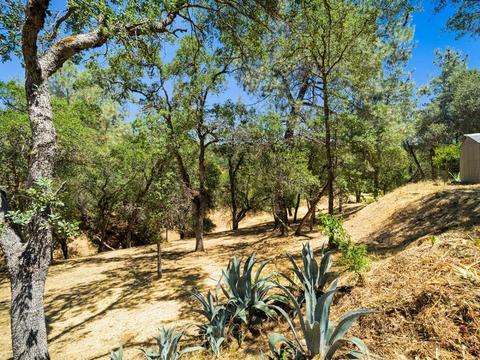 4631 Stoney Ridge Rd, Placerville, CA 95667 photo 7