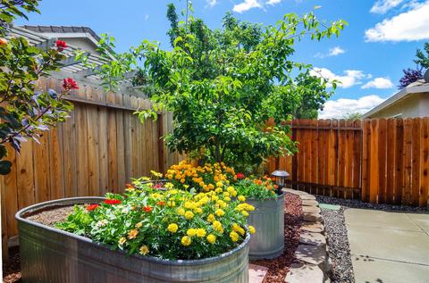 2352 Roualt St, Davis, CA 95618 photo 22