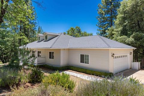 13671 Redbud Ln, Pine Grove, CA 95665 photo 55