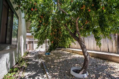 1152 Bud Ct, Manteca, CA 95336 photo 38