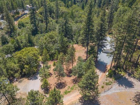 23591 Tree Farm Rd, Colfax, CA 95713 photo 33
