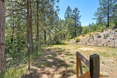 23591 Tree Farm Rd, Colfax, CA 95713 photo 23