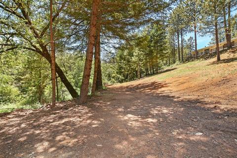 23591 Tree Farm Rd, Colfax, CA 95713 photo 31