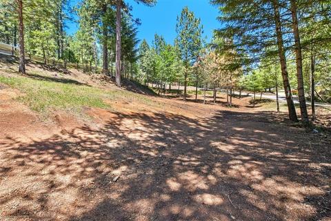23591 Tree Farm Rd, Colfax, CA 95713 photo 29