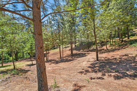 23591 Tree Farm Rd, Colfax, CA 95713 photo 28