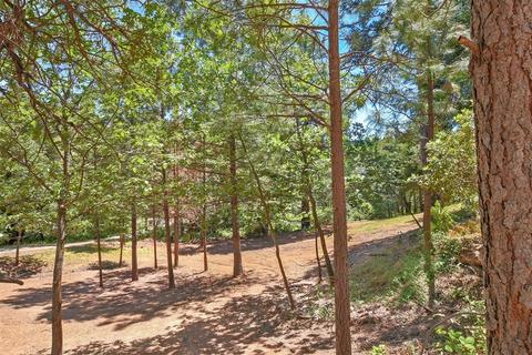 23591 Tree Farm Rd, Colfax, CA 95713 photo 26