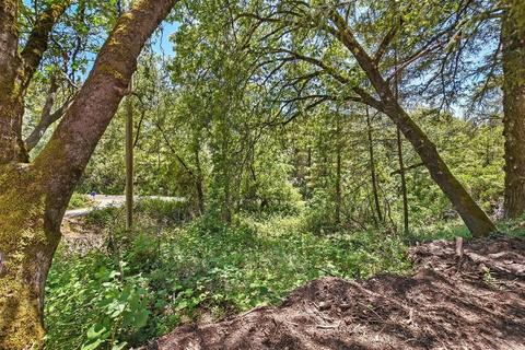 23591 Tree Farm Rd, Colfax, CA 95713 photo 30