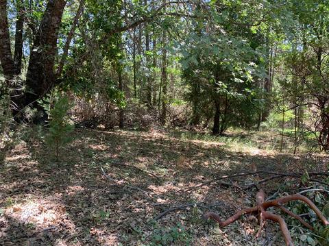 Undisclosed, Pine Grove, CA 95665 photo 6