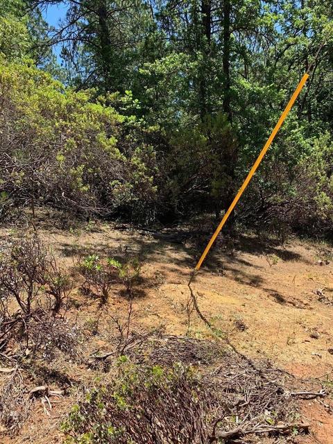 Undisclosed, Pine Grove, CA 95665 photo 10