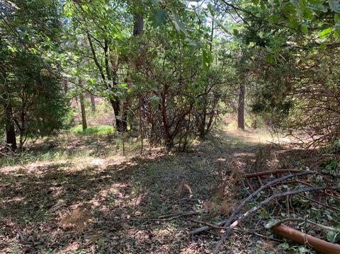 Undisclosed, Pine Grove, CA 95665 photo 7