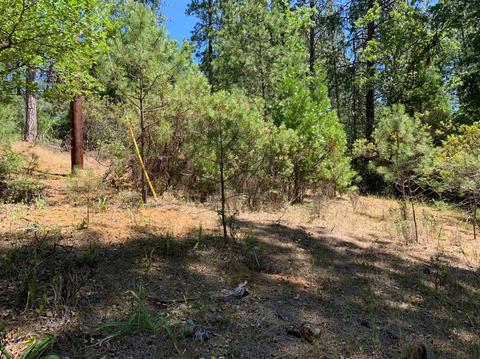 Undisclosed, Pine Grove, CA 95665 photo 12