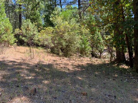 Undisclosed, Pine Grove, CA 95665 photo 13