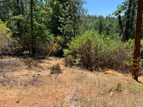 Undisclosed, Pine Grove, CA 95665 photo 3