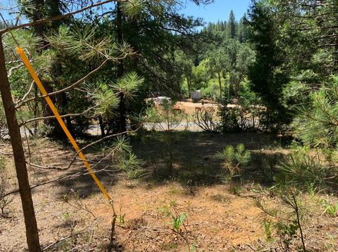Undisclosed, Pine Grove, CA 95665 photo 11