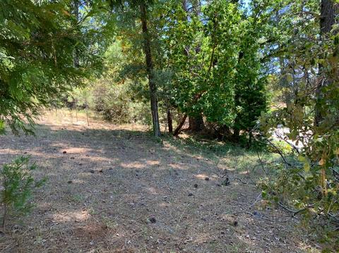 Undisclosed, Pine Grove, CA 95665 photo 15