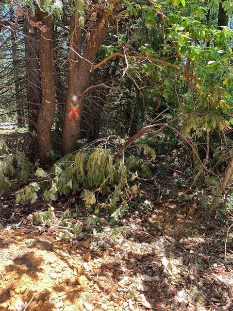 Undisclosed, Pine Grove, CA 95665 photo 5