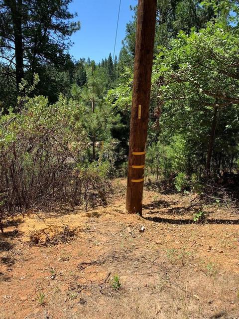 Undisclosed, Pine Grove, CA 95665 photo 9