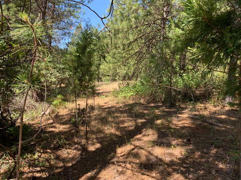Undisclosed, Pine Grove, CA 95665 photo 14
