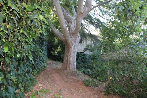 640 Canal St, Placerville, CA 95667 photo 17