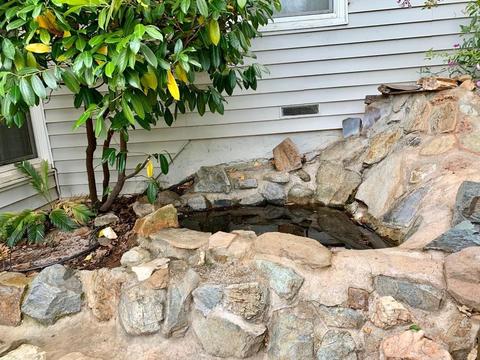 640 Canal St, Placerville, CA 95667 photo 6