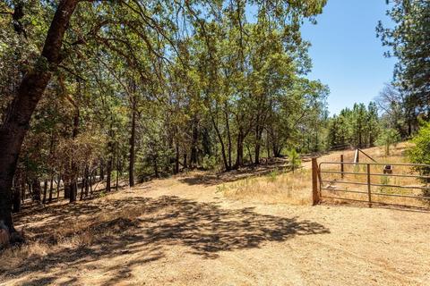 6825 Eaton Rd, Georgetown, CA 95634 photo 30