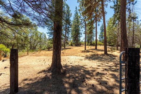 6825 Eaton Rd, Georgetown, CA 95634 photo 29