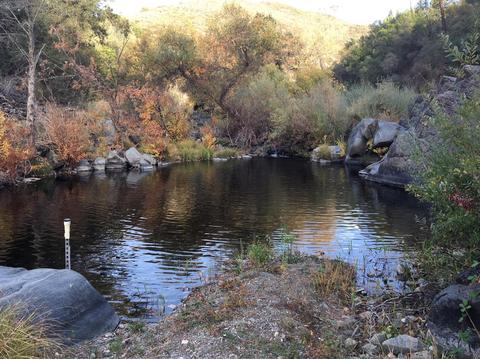 2861 Jasper Rd, Rescue, CA 95672 photo 38