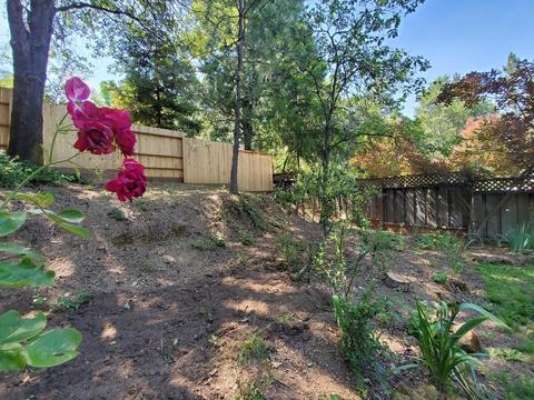 955 Bartlett Ave, Placerville, CA 95667 photo 26