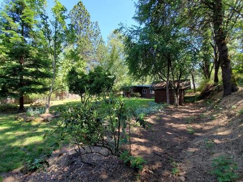 955 Bartlett Ave, Placerville, CA 95667 photo 15