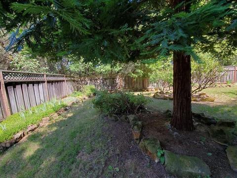 955 Bartlett Ave, Placerville, CA 95667 photo 31