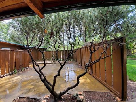 955 Bartlett Ave, Placerville, CA 95667 photo 4