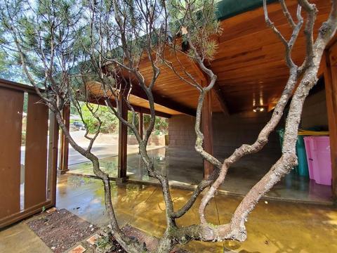 955 Bartlett Ave, Placerville, CA 95667 photo 47