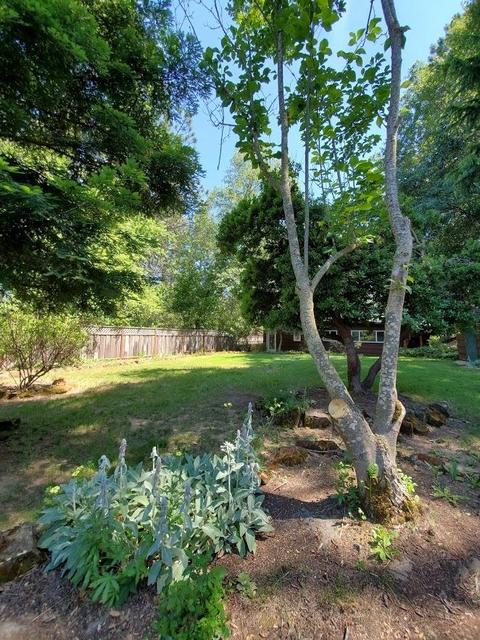 955 Bartlett Ave, Placerville, CA 95667 photo 30