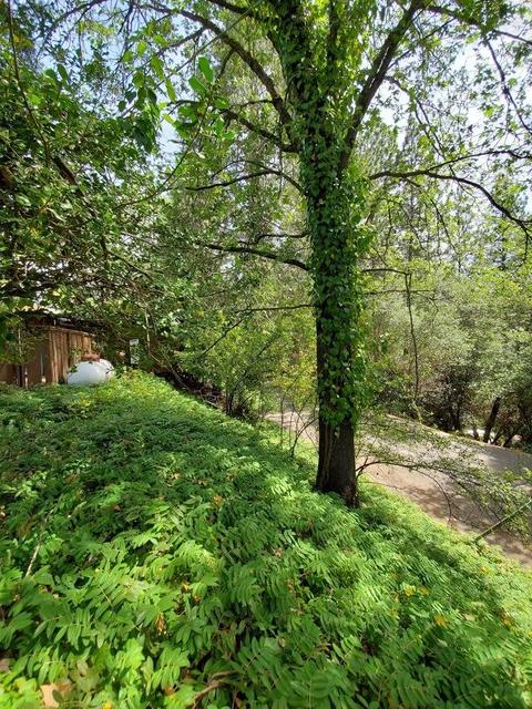 955 Bartlett Ave, Placerville, CA 95667 photo 40