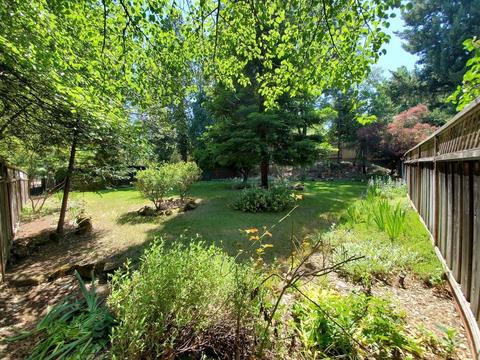 955 Bartlett Ave, Placerville, CA 95667 photo 32