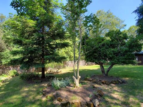 955 Bartlett Ave, Placerville, CA 95667 photo 27