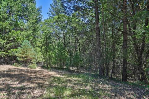 375 Thunder Rd, Colfax, CA 95713 photo 38