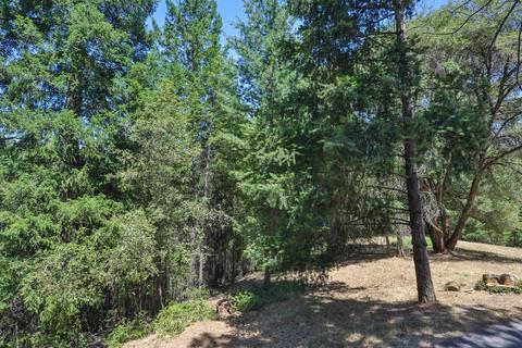 375 Thunder Rd, Colfax, CA 95713 photo 39
