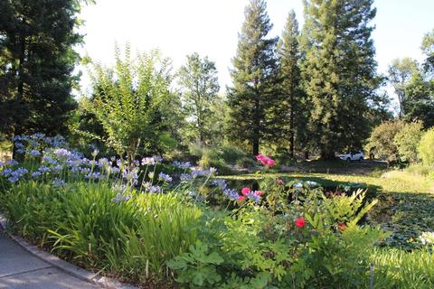 13078 Cherry Rd, Wilton, CA 95693 photo 38