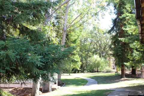 13078 Cherry Rd, Wilton, CA 95693 photo 62