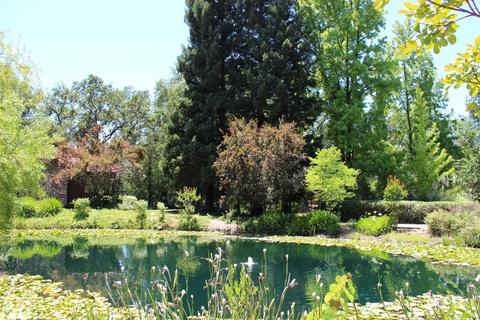 13078 Cherry Rd, Wilton, CA 95693 photo 9