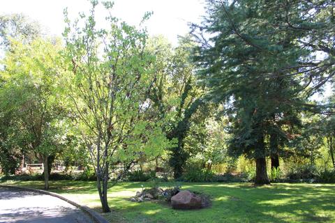 13078 Cherry Rd, Wilton, CA 95693 photo 8