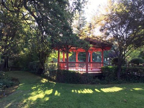 13078 Cherry Rd, Wilton, CA 95693 photo 51
