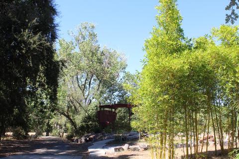 13078 Cherry Rd, Wilton, CA 95693 photo 55