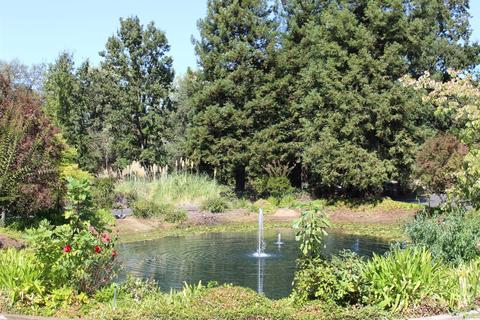 13078 Cherry Rd, Wilton, CA 95693 photo 10