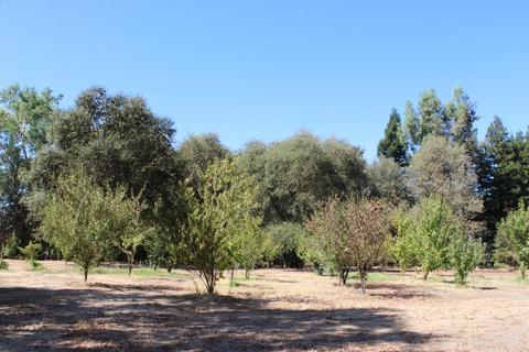 13078 Cherry Rd, Wilton, CA 95693 photo 61