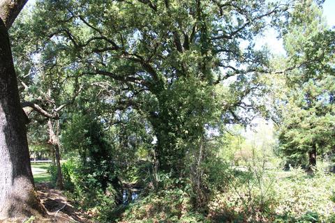 13078 Cherry Rd, Wilton, CA 95693 photo 78